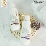 Dầu gội phục hồi Pallamina - 400ml - Ảnh 3